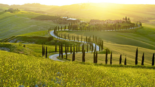 The Rise of Sangiovese Wines in Australia: A Wine Trend Worth Tasting In 2025