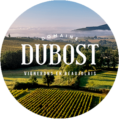 Collection image for: Domaine Tracot-Dubost