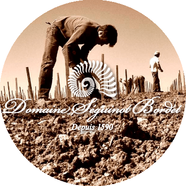 Collection image for: Seguinot-Bordet