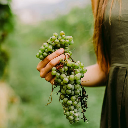 Collection image for: Laurent Savoye