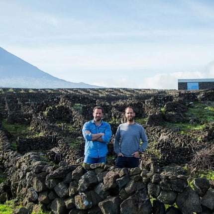 Collection image for: Azores Wine Company