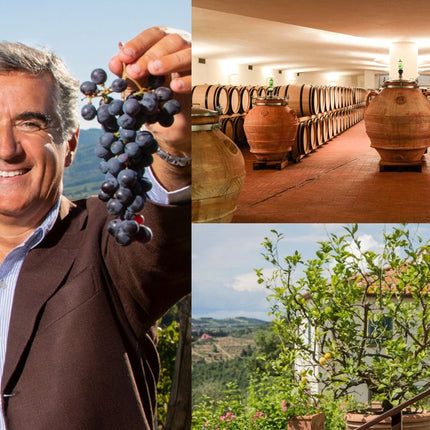 Collection image for: Fontodi