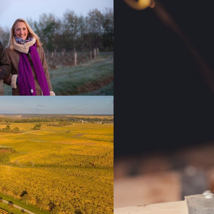 Collection image for: Domaine des Aubuisieres