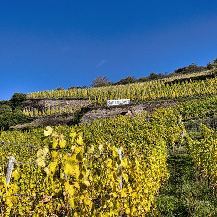 Collection image for: Immich-Batterieberg