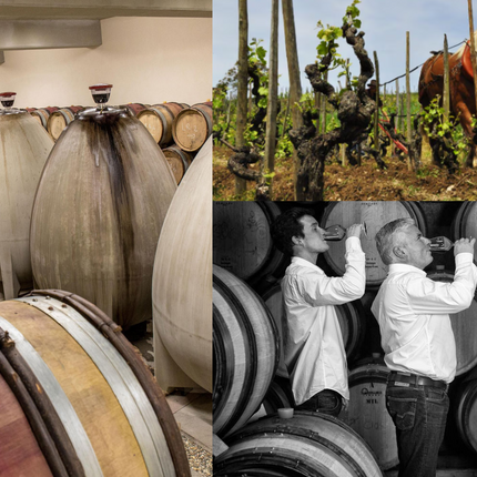 Collection image for: Domaine Combier