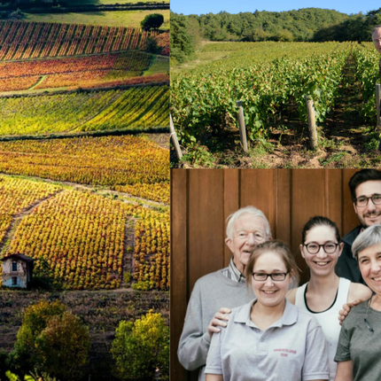 Collection image for: Domaine Lafarge-Vial