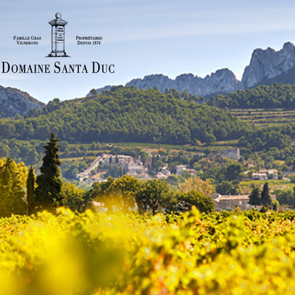 Collection image for: NEW RELEASE: Domaine Santa Duc Best of Southern Rhone