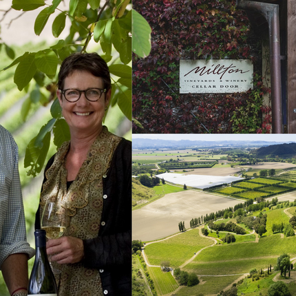 Collection image for: New Zealand's Finest: Millton Vineyards