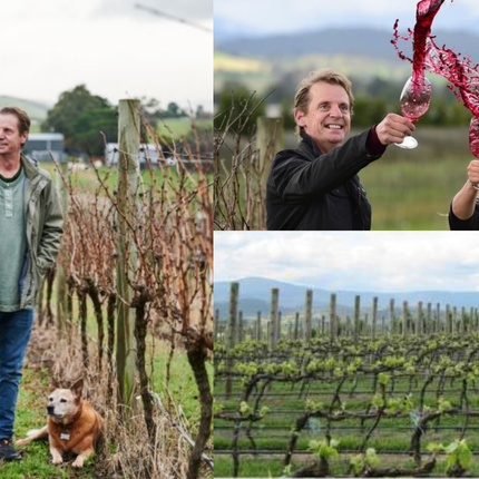 Collection image for: Serrat