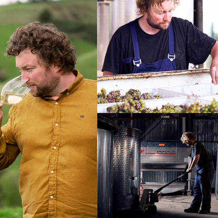 Collection image for: Patrick Sullivan