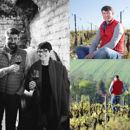 Collection image for: Domaine Guilhem et Jean-Hugues Goisot