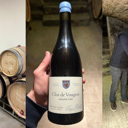 Collection image for: Louis Billard