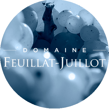Collection image for: Domaine Feuillat-Juillot