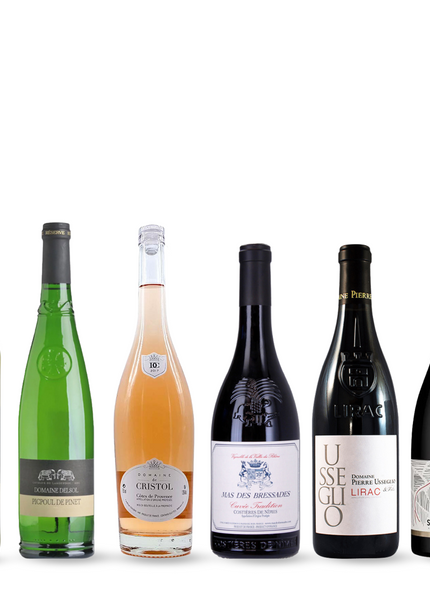 Provence Languedoc and Southern Rhone Mixed 6 Pack