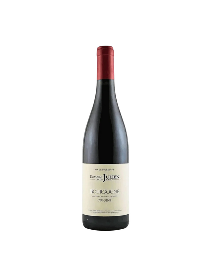 Domaine Gérard Julien & Fils Bourgogne Rouge 'Origine' 2022