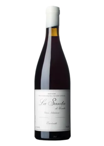 Envinate La Santa de Ursula Tinto 2024