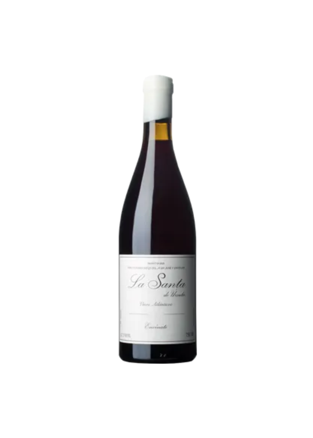 Envinate La Santa de Ursula Tinto 2024