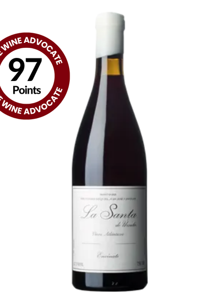 Envinate La Santa de Ursula Tinto 2024