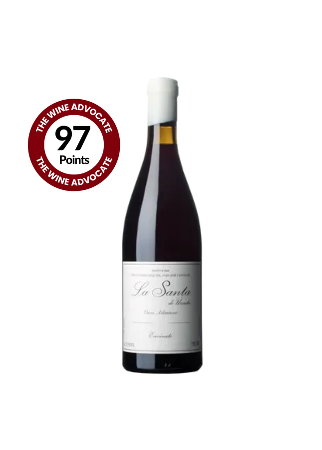 Envinate La Santa de Ursula Tinto 2024