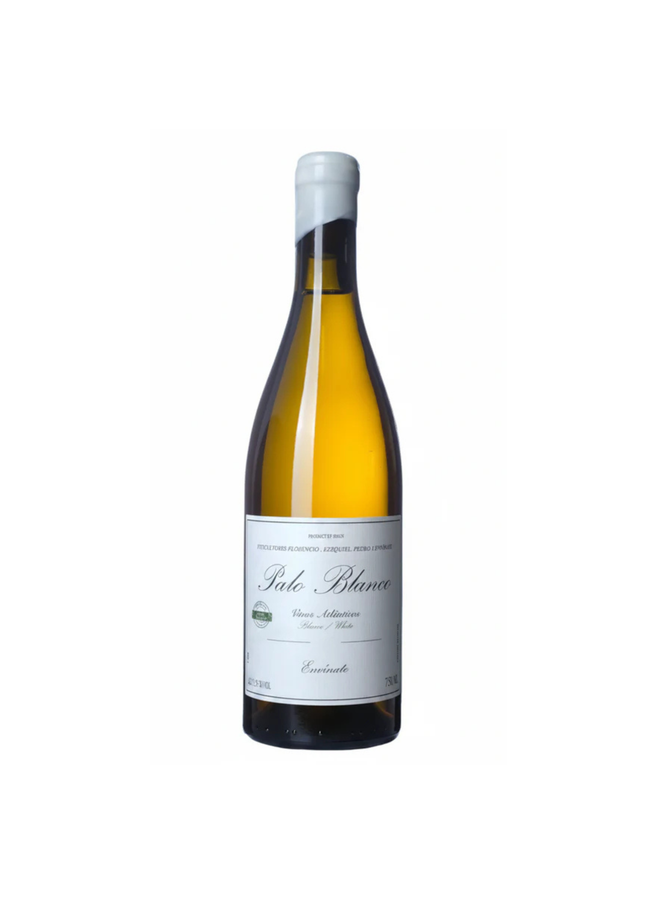 Envinate Palo Blanco 2024