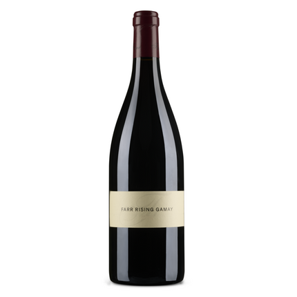 Collection image for: Best Gamay Wine Selections