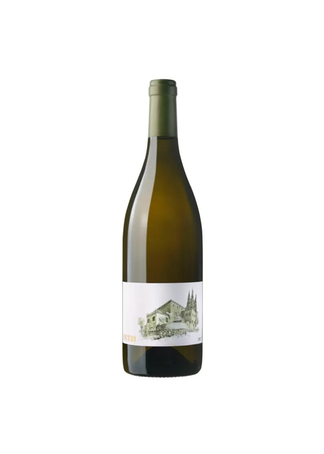 Fontodi Bianco Old Vine Trebbiano 2024