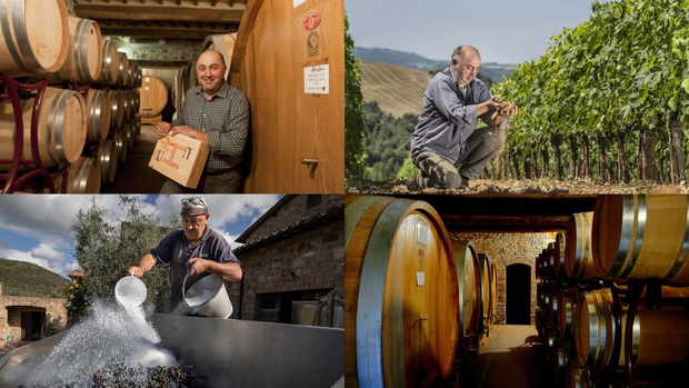 Premium Tuscan Wines